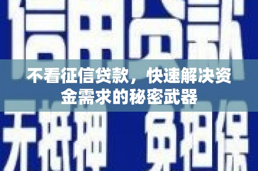 颍上不看征信贷款，快速解决资金需求的秘密武器