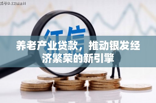 颍上养老产业贷款，推动银发经济繁荣的新引擎