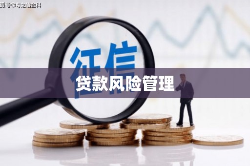 颍上贷款风险管理