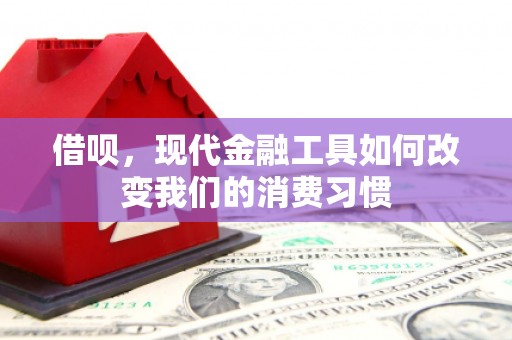 颍上借呗，现代金融工具如何改变我们的消费习惯