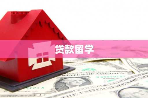 颍上贷款留学