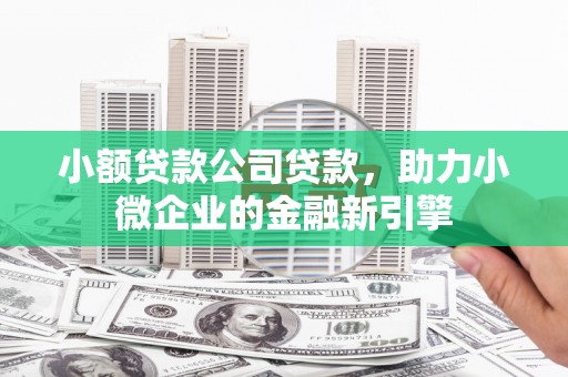 颍上小额贷款公司贷款，助力小微企业的金融新引擎