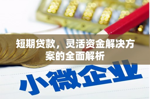 颍上短期贷款，灵活资金解决方案的全面解析