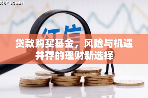 颍上贷款购买基金，风险与机遇并存的理财新选择