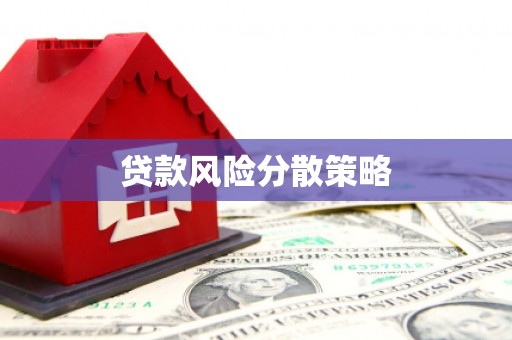 颍上贷款风险分散策略