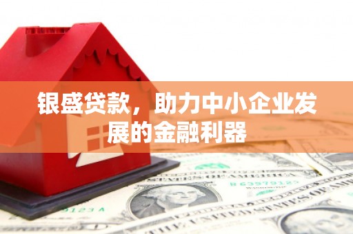 颍上银盛贷款，助力中小企业发展的金融利器