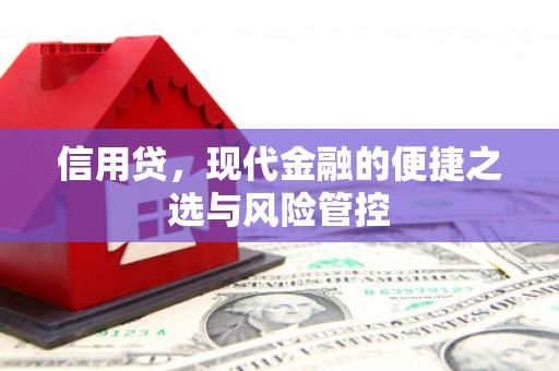 颍上信用贷，现代金融的便捷之选与风险管控