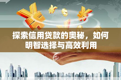 颍上探索信用贷款的奥秘，如何明智选择与高效利用