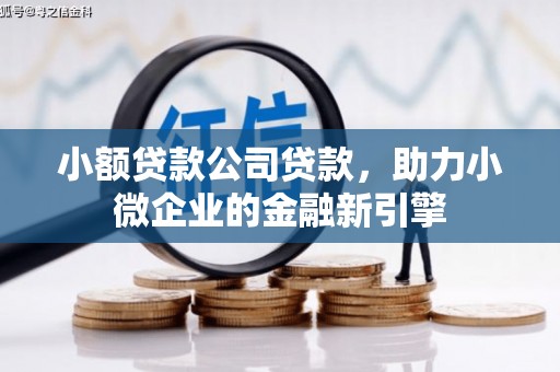 颍上小额贷款公司贷款，助力小微企业的金融新引擎