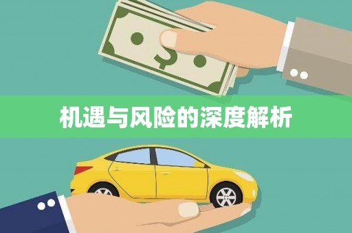 颍上机遇与风险的深度解析