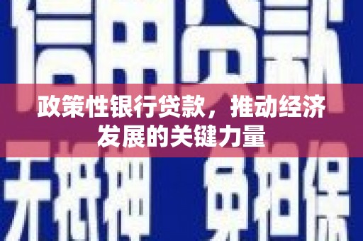颍上政策性银行贷款，推动经济发展的关键力量