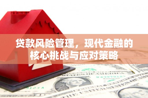 颍上贷款风险管理，现代金融的核心挑战与应对策略