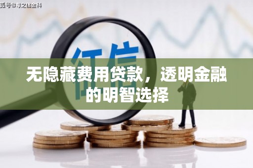 颍上无隐藏费用贷款，透明金融的明智选择