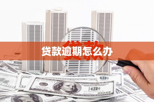 颍上贷款逾期怎么办