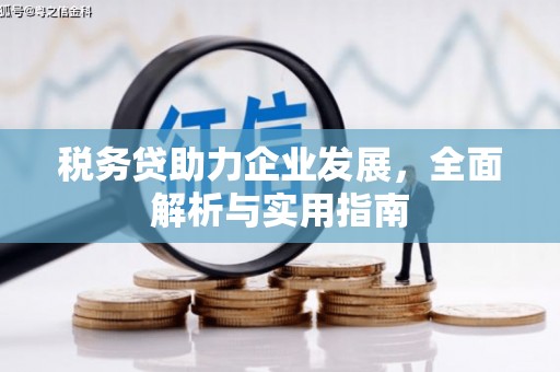 颍上税务贷助力企业发展，全面解析与实用指南