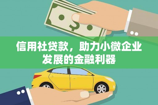 颍上信用社贷款，助力小微企业发展的金融利器