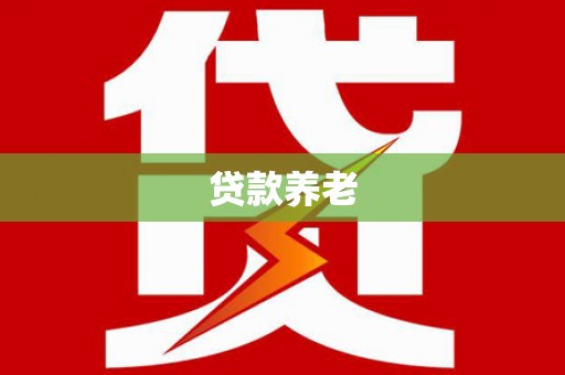 颍上贷款养老