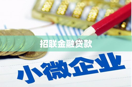颍上招联金融贷款