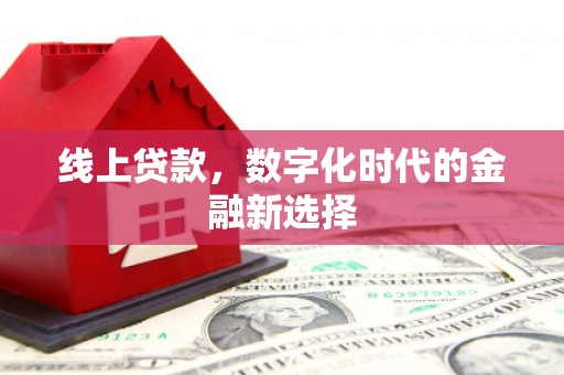 颍上线上贷款，数字化时代的金融新选择