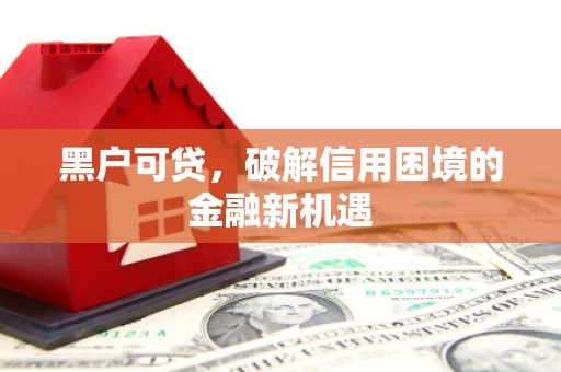 颍上黑户可贷，破解信用困境的金融新机遇
