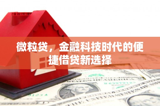 颍上微粒贷，金融科技时代的便捷借贷新选择