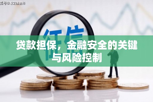颍上贷款担保，金融安全的关键与风险控制
