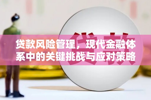 颍上贷款风险管理，现代金融体系中的关键挑战与应对策略
