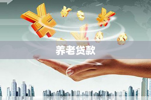 颍上养老贷款