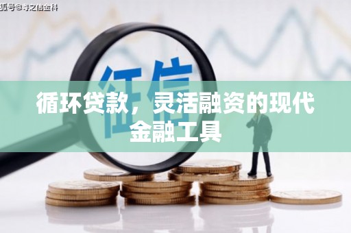 颍上循环贷款，灵活融资的现代金融工具