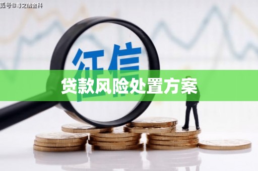 颍上贷款风险处置方案