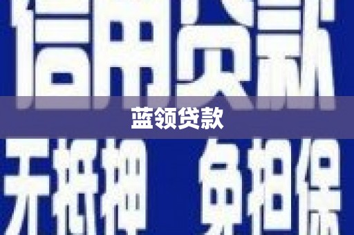 颍上蓝领贷款