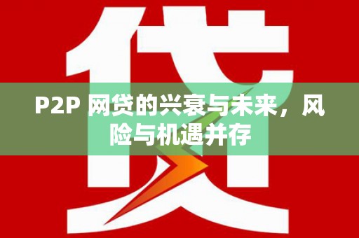 颍上P2P 网贷的兴衰与未来，风险与机遇并存