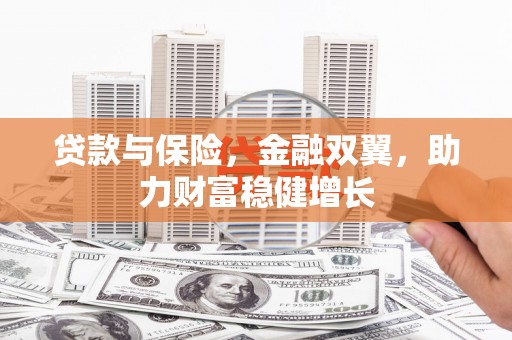 颍上贷款与保险，金融双翼，助力财富稳健增长
