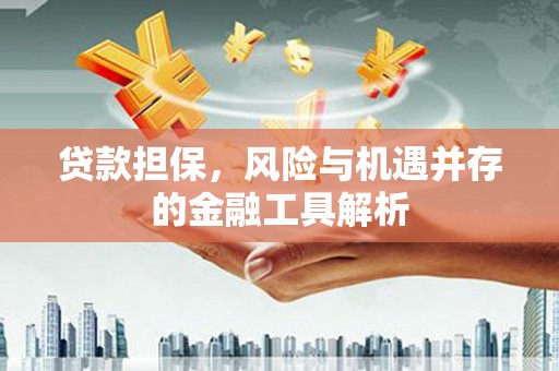 颍上贷款担保，风险与机遇并存的金融工具解析