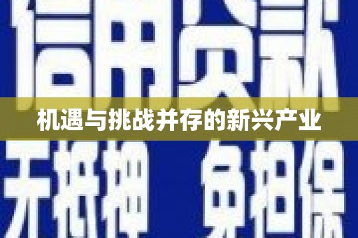颍上机遇与挑战并存的新兴产业