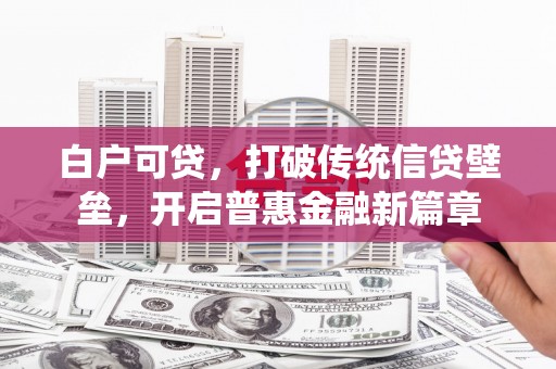 颍上白户可贷，打破传统信贷壁垒，开启普惠金融新篇章