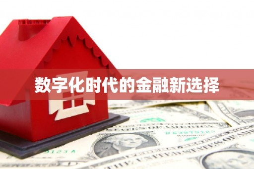 颍上数字化时代的金融新选择