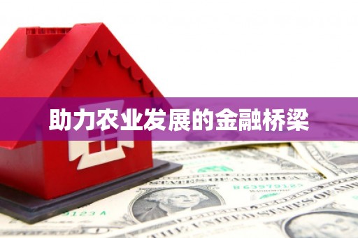 颍上助力农业发展的金融桥梁