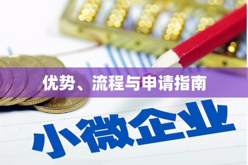 颍上优势、流程与申请指南