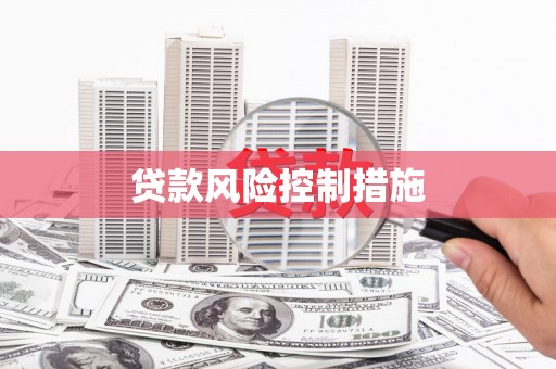 颍上贷款风险控制措施