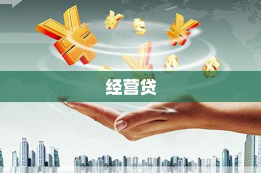 颍上经营贷
