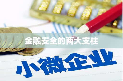颍上金融安全的两大支柱