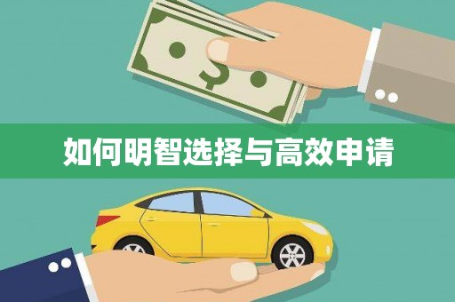 颍上如何明智选择与高效申请