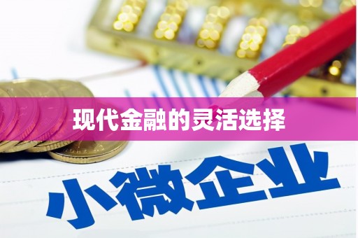 颍上现代金融的灵活选择