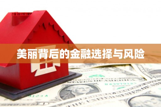 颍上美丽背后的金融选择与风险
