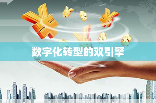 颍上数字化转型的双引擎