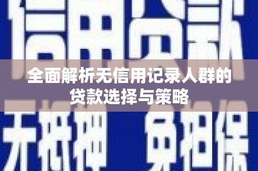 颍上全面解析无信用记录人群的贷款选择与策略