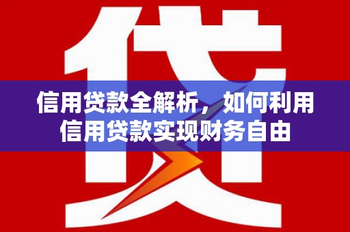 颍上信用贷款全解析，如何利用信用贷款实现财务自由