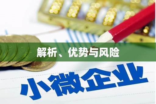 颍上解析、优势与风险