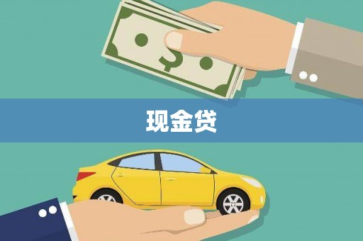 颍上现金贷
